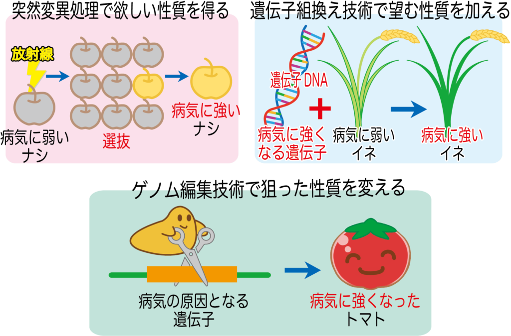 ウマ娘 容姿端麗 設定