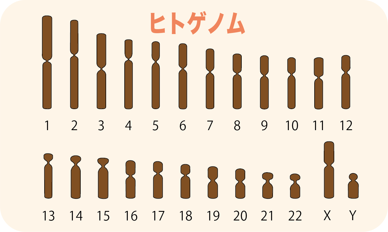 遺伝子とゲノム 上・下セット Single Protein Production System (SPP System)｜タカラバイオ