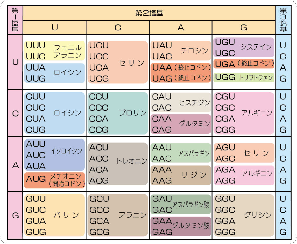 用語集 | バイオステーション